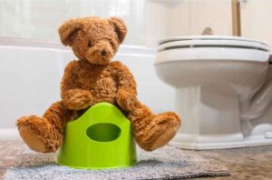 how to potty train