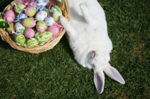 Toddler Easter Basket