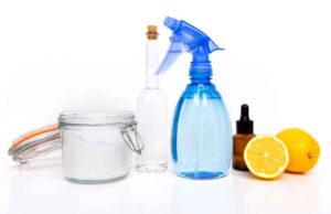 Cleaning Items for Busy Moms