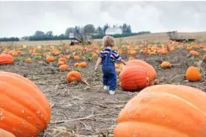 fall activities for kids